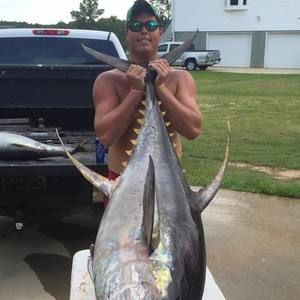 Meet your Posher, Ellis